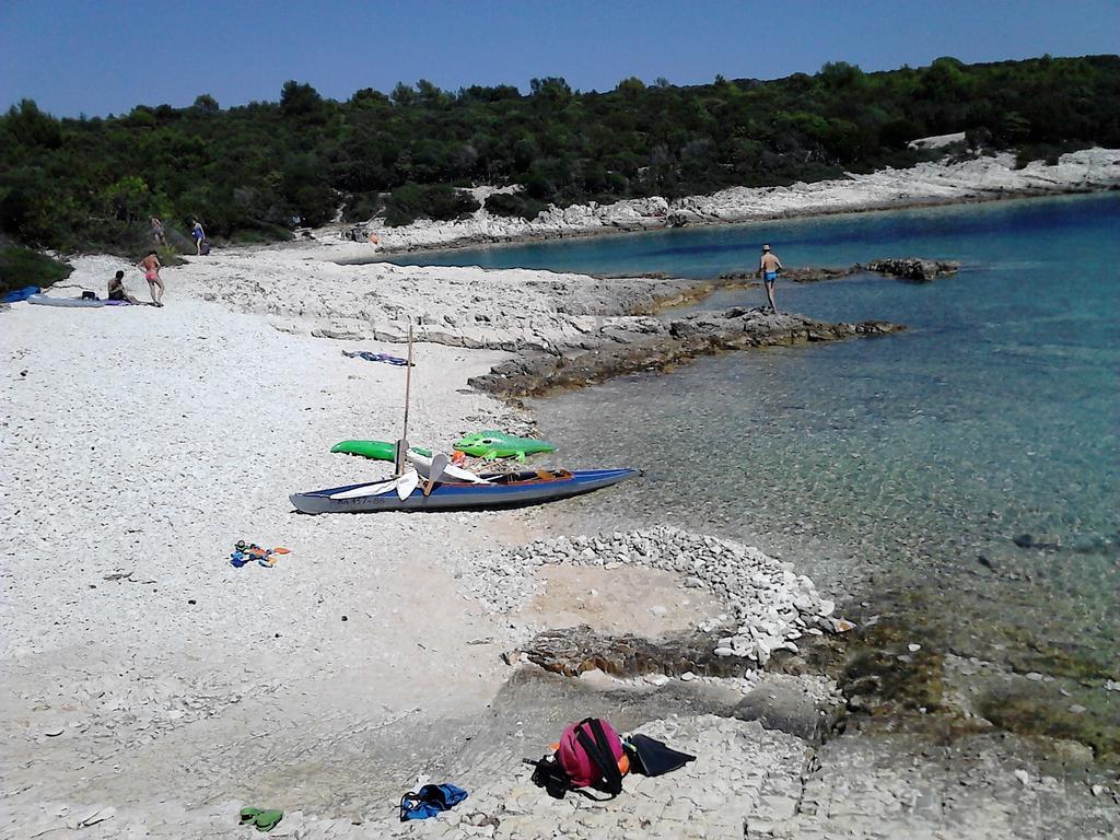 Eco Secluded Zabodarski Apartament *