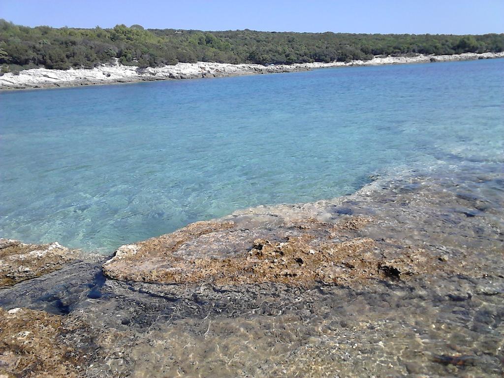 Eco Secluded Zabodarski Apartament